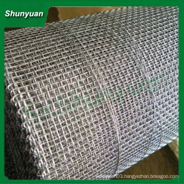 Low Carbon Steel/Iron Wire Crimped Wire Mesh